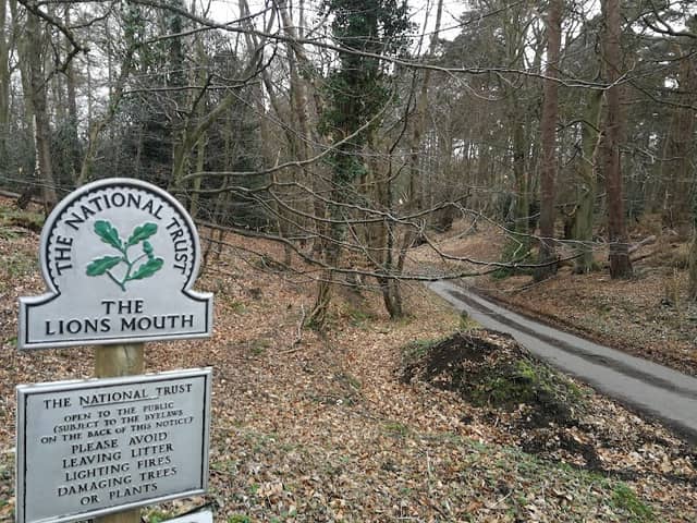 Lion's Mouth - Image 2