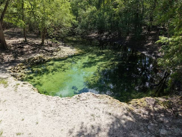 Ruth Spring - Image 1