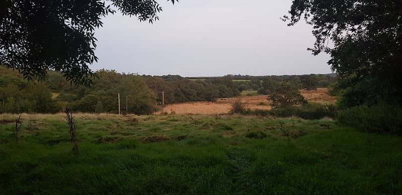 Paddock Garden - Image 1