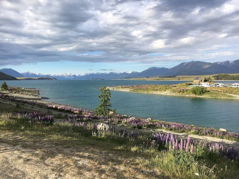Lake Tekapo Picnic Bench - Image 3