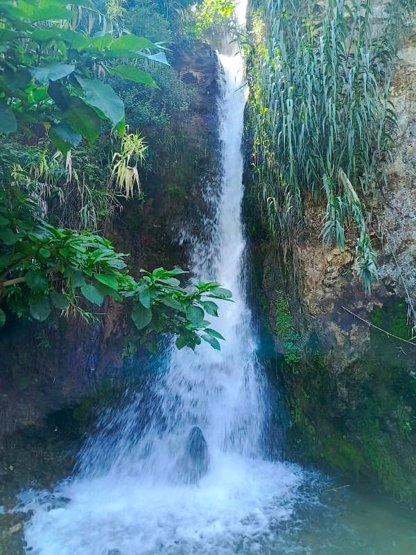 Cascada el Tingo - Image 2