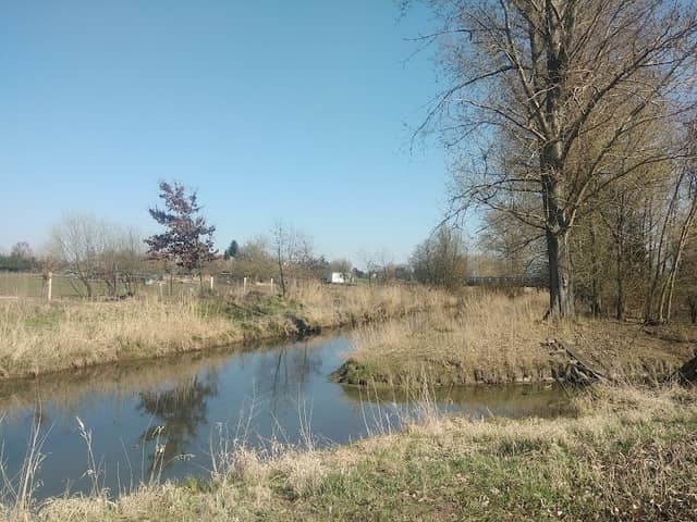 Třesický potok-pramen - Image 1