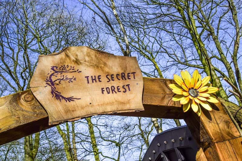 The Secret Forest - Image 1