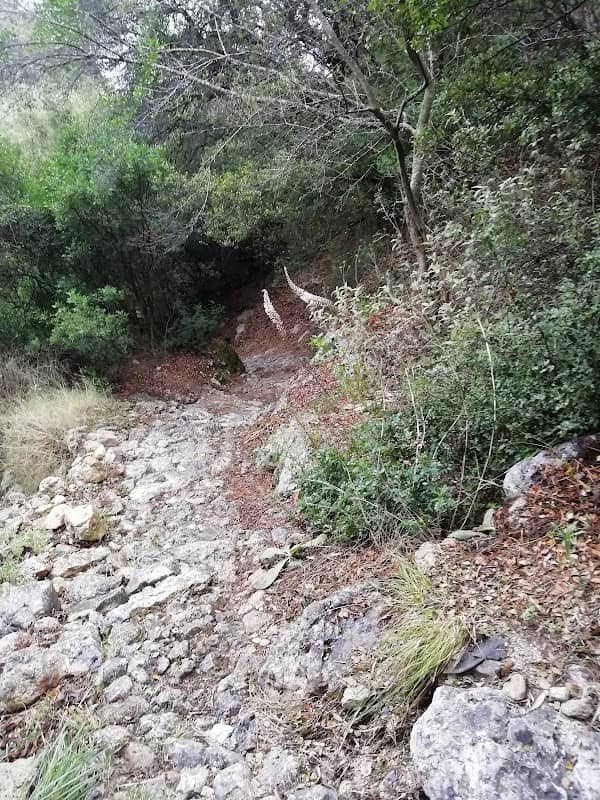 Donkey Path Trail to Lakones - Image 1