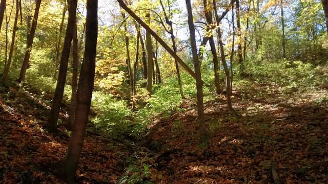 Lookout Park - Image 1