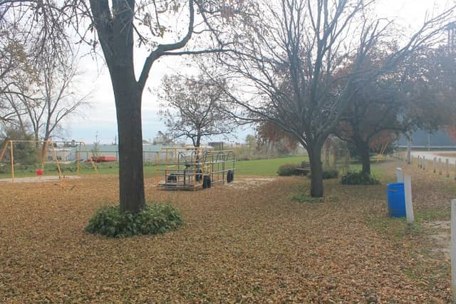 Sierra Wilcox Memorial Park - Image 1
