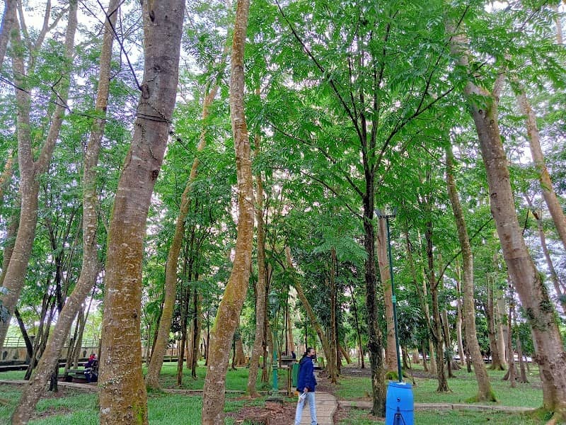Kuala Kapuas City Forest - Image 1