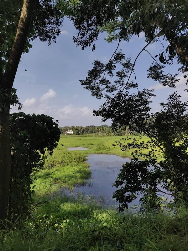 Panamaram Nada Viewpoint - Image 1