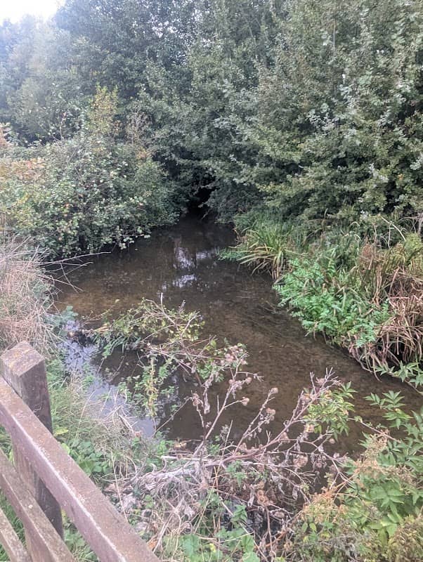 Witham Town River Walk - Image 2