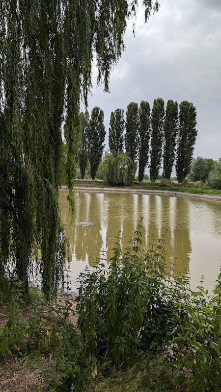 Lago di Ortucchio - Image 2