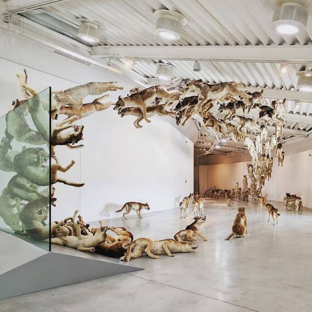 Centro per l'Arte Contemporanea Luigi Pecci - Image 1