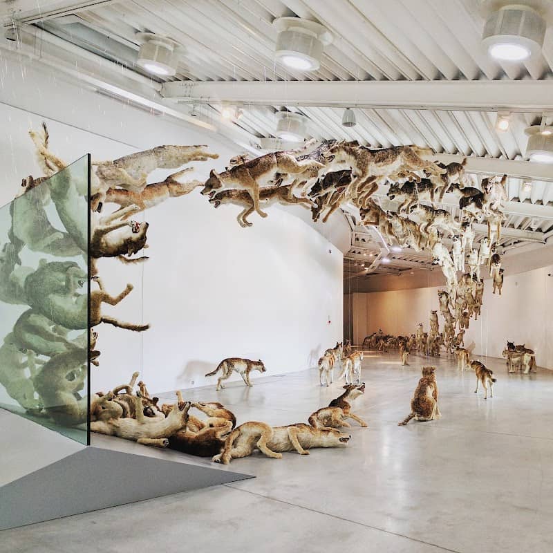 Centro per l'Arte Contemporanea Luigi Pecci - Image 1