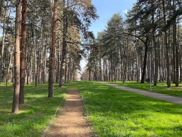 Летњиковац - Image 1