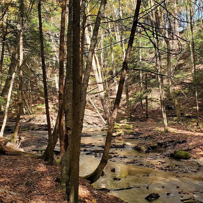 Bossard Nature Area - Image 1