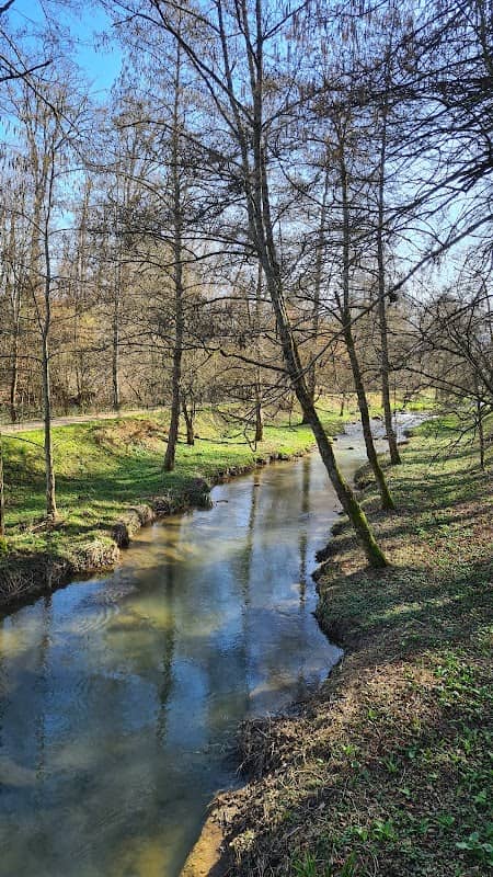 Möhlinbachmündung - Image 2