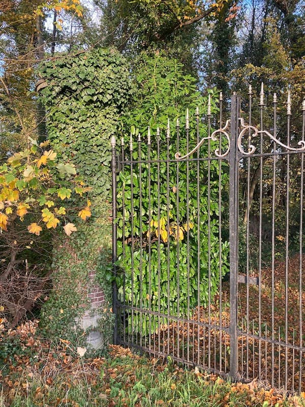Bos Sint Odiliënberg - Image 1