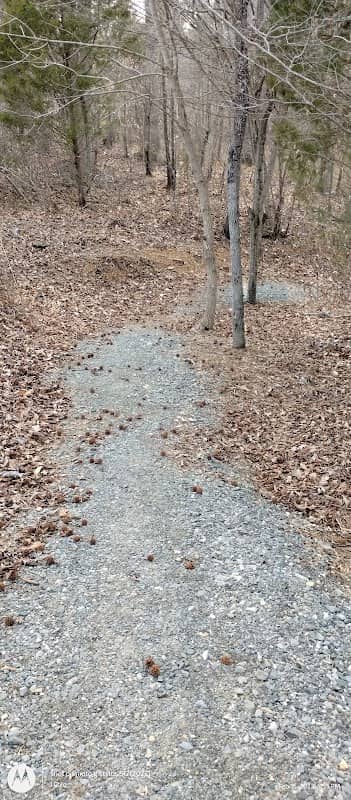 Lake reidsville kayak launch - Image 1