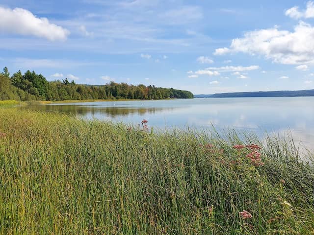 Glen Lake Beach Park - Image 3