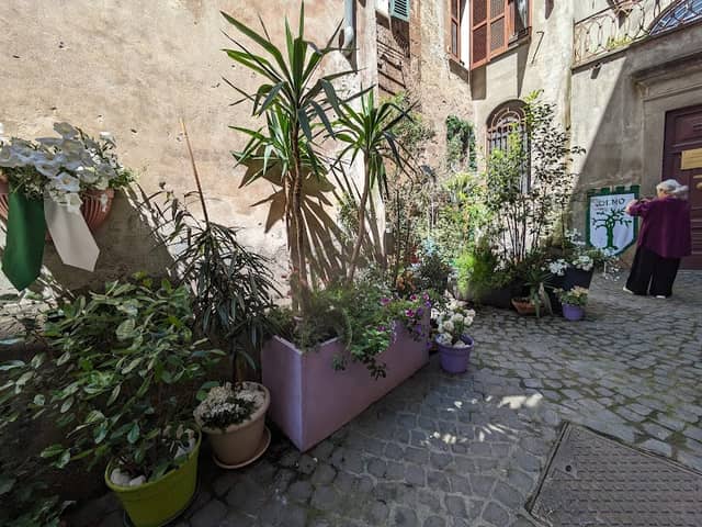 Vicolo - Image 3