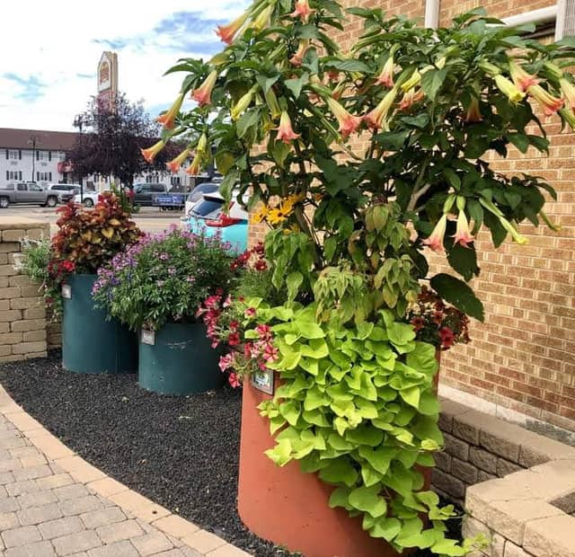 Garden on 4th - Image 1