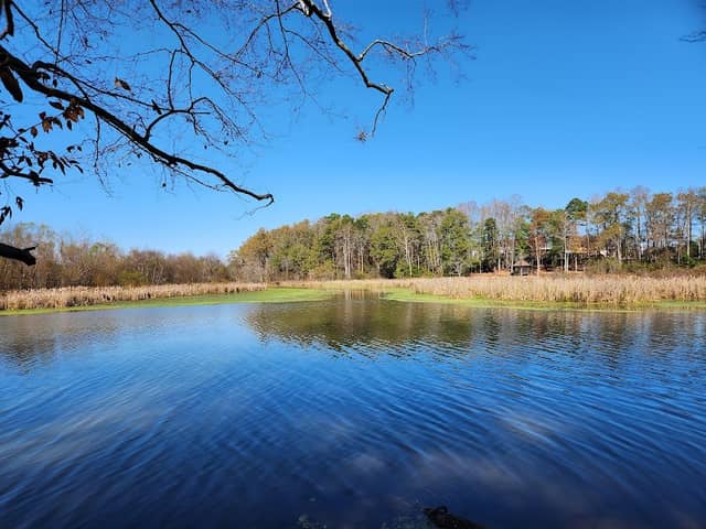 Tygerberry Landing - Image 2