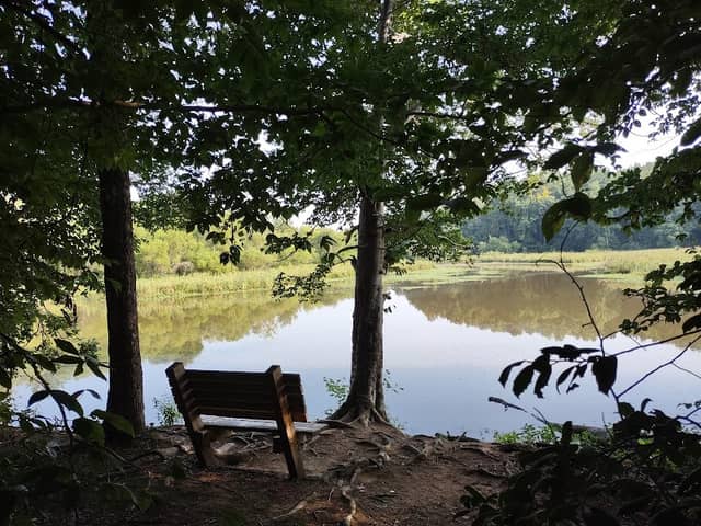 Tygerberry Landing - Image 1