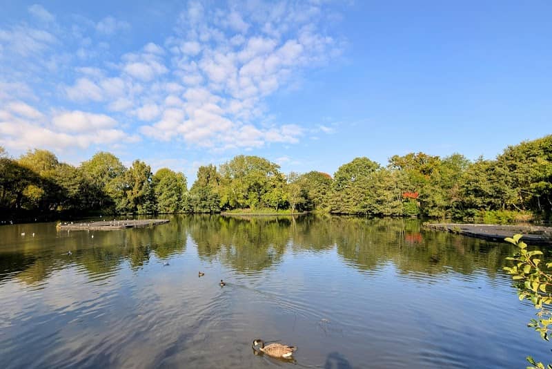Tudor Grange Park - Image 1