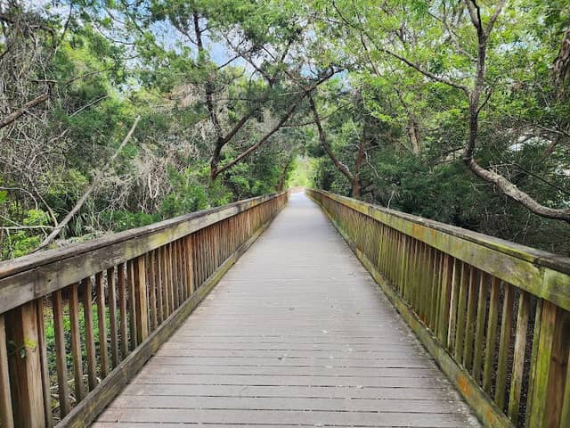 Ocean Hammock Park Walkway - Image 1