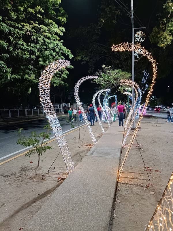 Paseo Navidad - Image 1