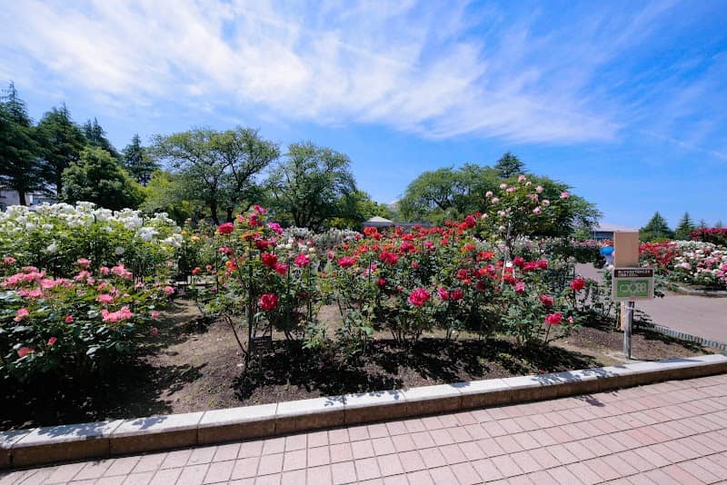 Kanazawaminami Sports Park - Image 2