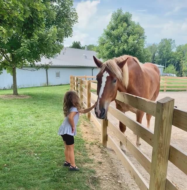 Lake Metroparks Farmpark - Image 2