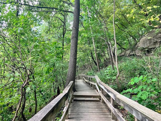 Black Hawk Forest - Image 2