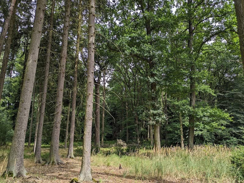 Nature Park Klánovice-Čihadla - Image 1