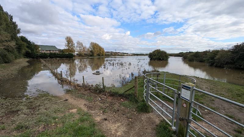 Woodhouse Washlands Nature Reserve - Image 2