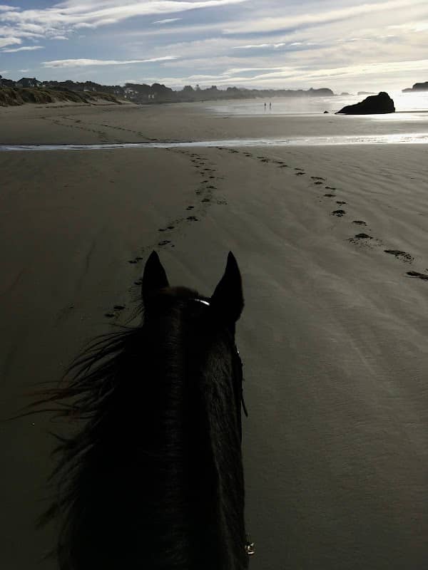 Tish-A-Tang Beach - Image 1