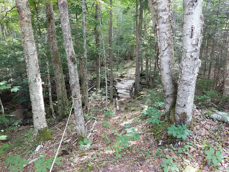 Slokum Brook Falls - Image 1
