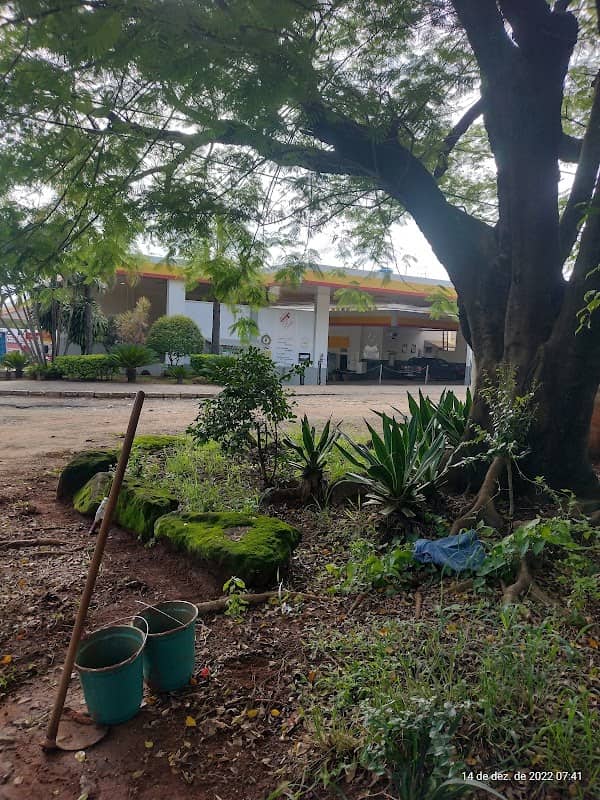 Tunel Verde - Image 1