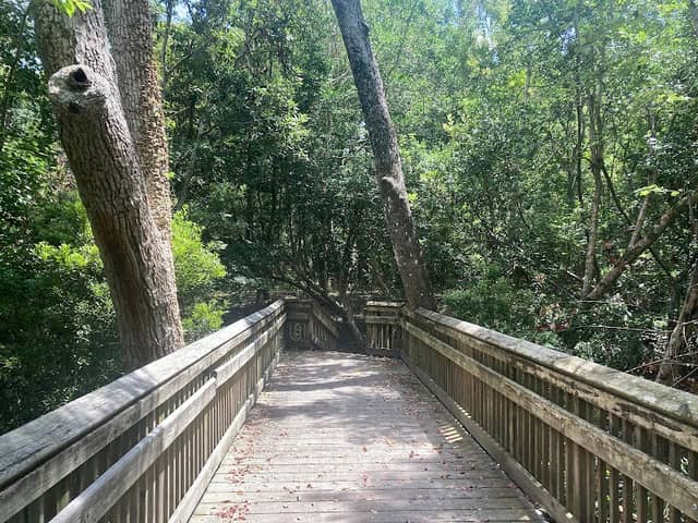 Emerald Isle Woods Park - Image 1