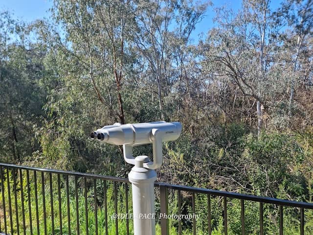 Flying Fox Viewing Platform - Image 3