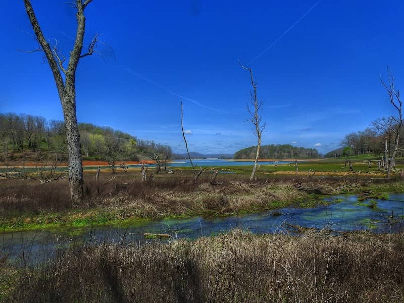 Mossy Creek Wildlife Viewing Area - Image 2