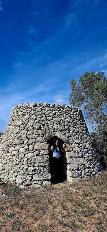 pajara - Image 1