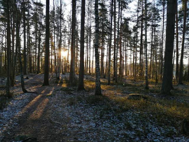 Männikön kosteikkoaltaat - Image 1