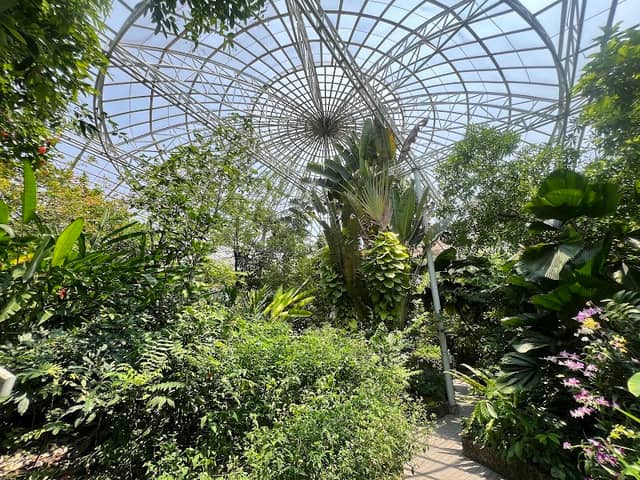 Bangkok Butterfly Garden and Insectarium - Image 1