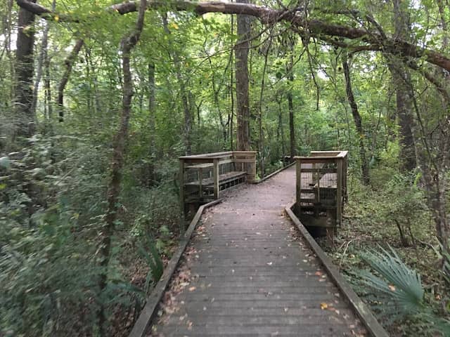 Acadiana Park - Image 2