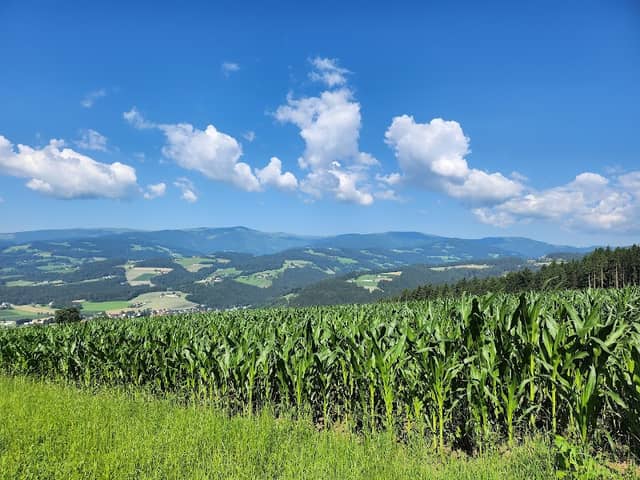 Bildstock - Image 1