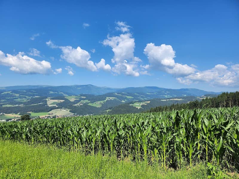 Bildstock - Image 1