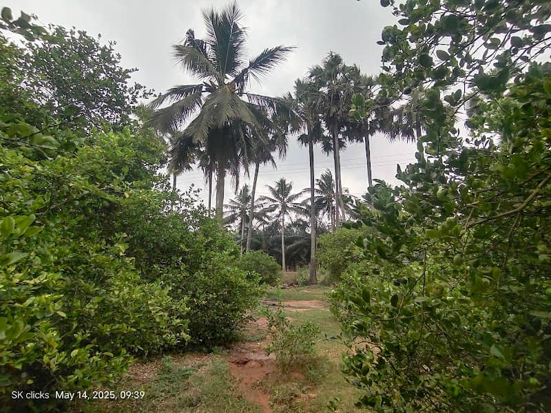 MALLADHI VARI THOTA - Image 1