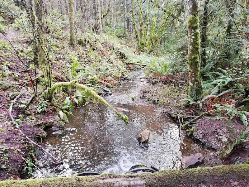 Metchosin Wilderness Park - Image 1