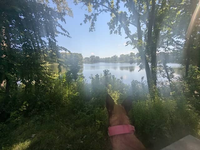 Oxboro Lake Park/Yvonne’s Picnic Place - Image 1