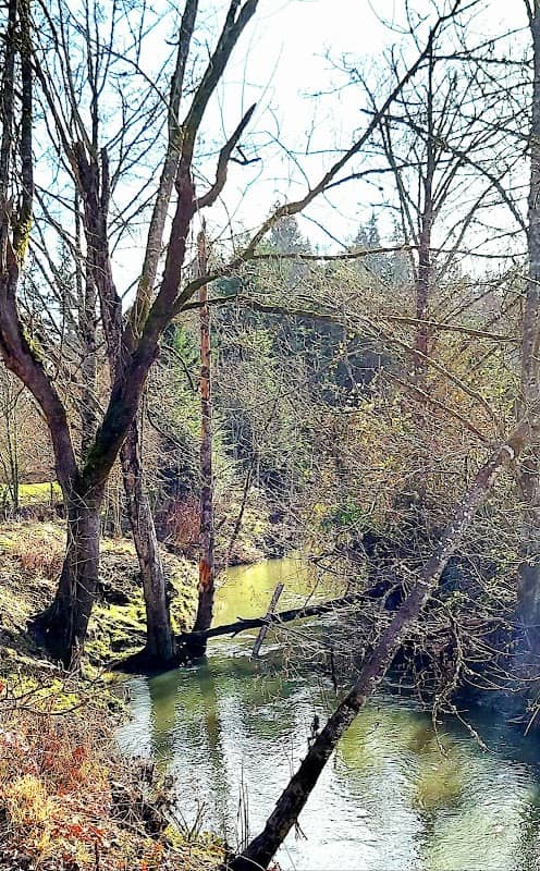 Bonita Park - Image 1